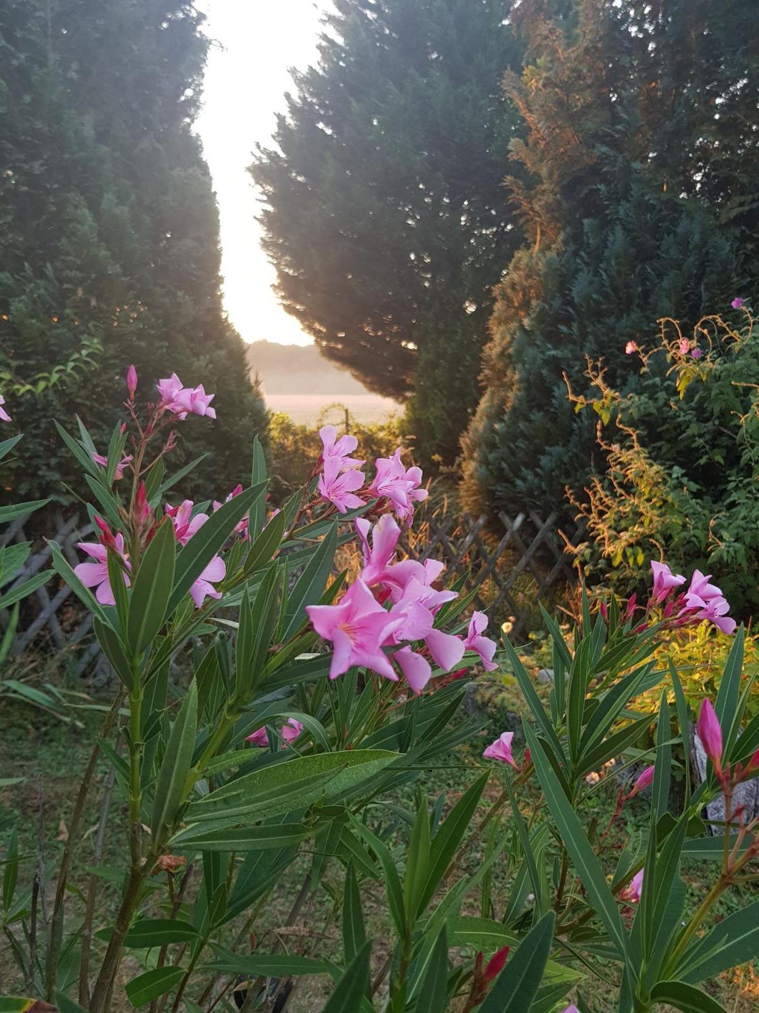 La Berceenne Jupilles Exteriér fotografie